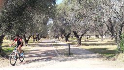 El pronóstico del tiempo anticipa un domingo soleado y algo fresco.