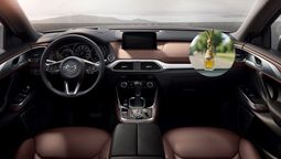 Con este perfume casero tu auto tendrá un ambiente fresco y agradable. Con este perfume casero tu auto tendrá un ambiente fresco y agradable.