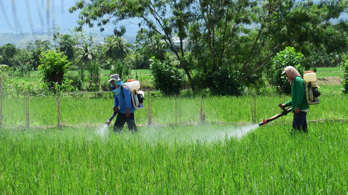 Perú sigue dando permisos para pesticidas que están prohibidos en Europa. (Foto: Laura-Fee Wloka)