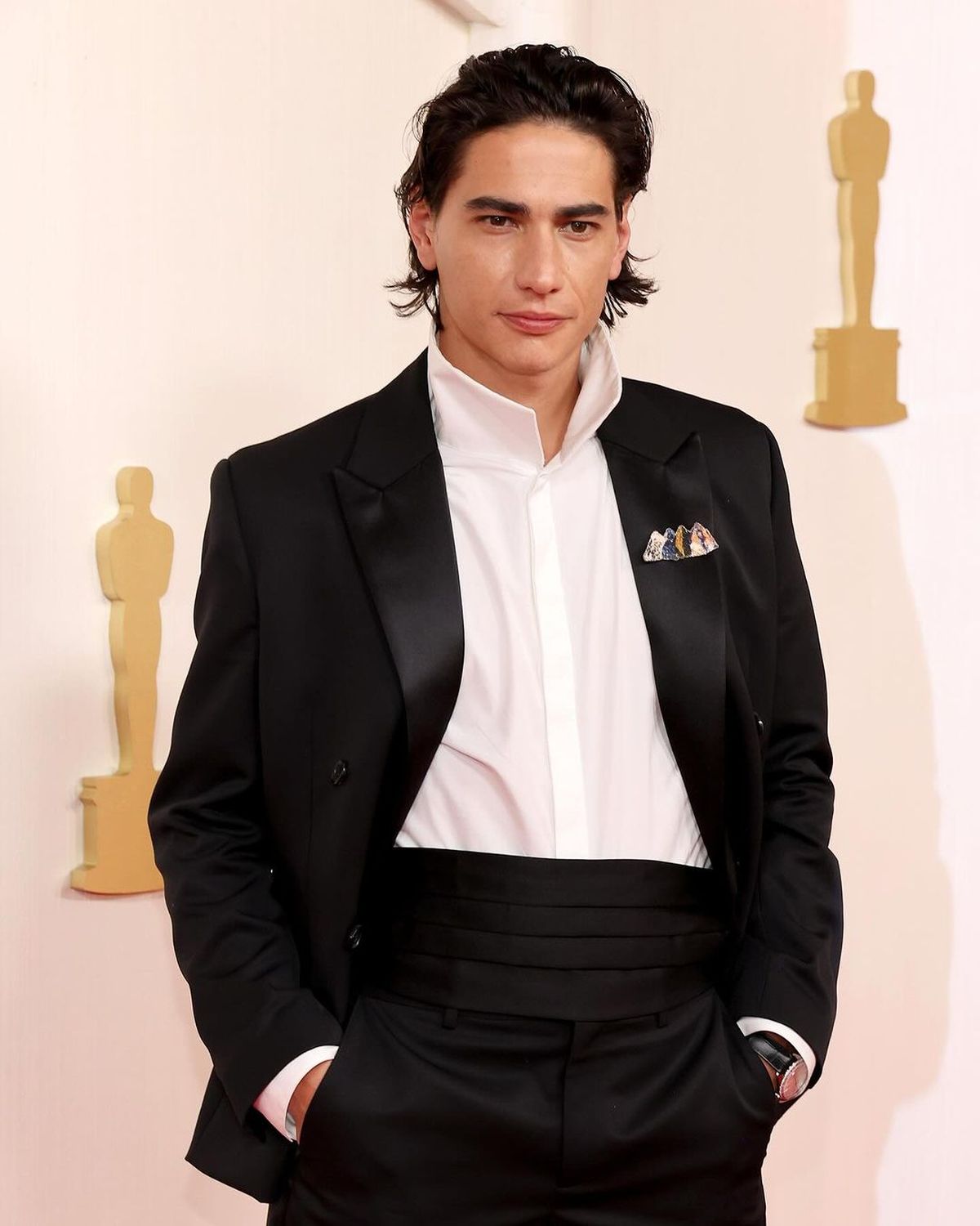 Enzo Vogrincic en los Premios Oscar. Enzo Vogrincic en los Premios Oscar.