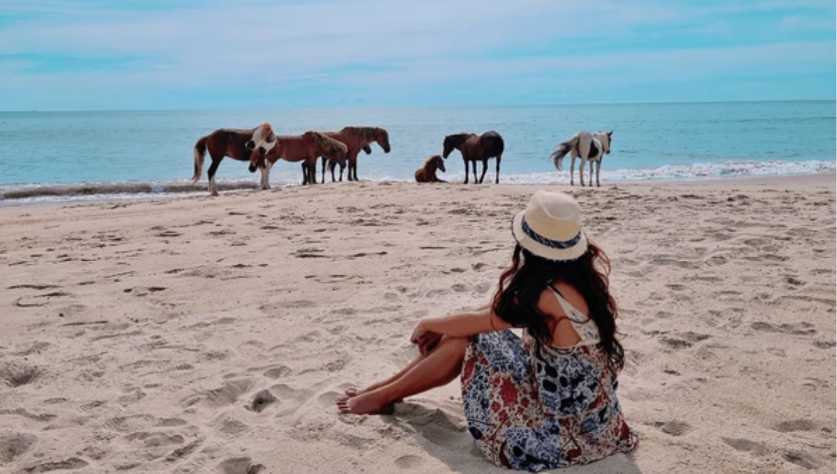 La Isla con paradisíacas playas y caballos salvajes que esta a cuatro horas de Nueva York