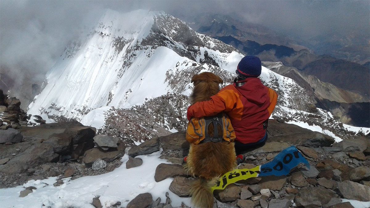 Oro y Nacho Lucero en la cumbre del cerro Aconcagua, Mendoza. Oro y Nacho Lucero en la cumbre del cerro Aconcagua, Mendoza.