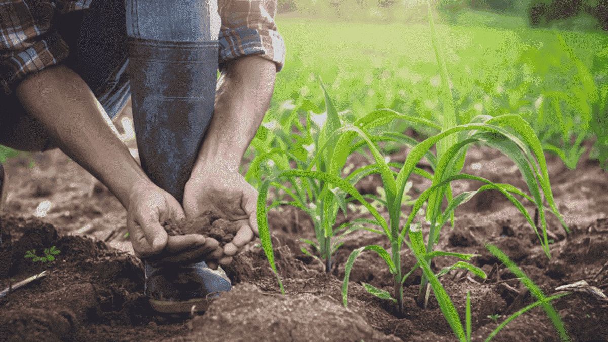 La forma en que se producen alimentos en gran escala socava las bases de la biodiversidad causando sequías y contaminación La forma en que se producen alimentos en gran escala socava las bases de la biodiversidad causando sequías y contaminación