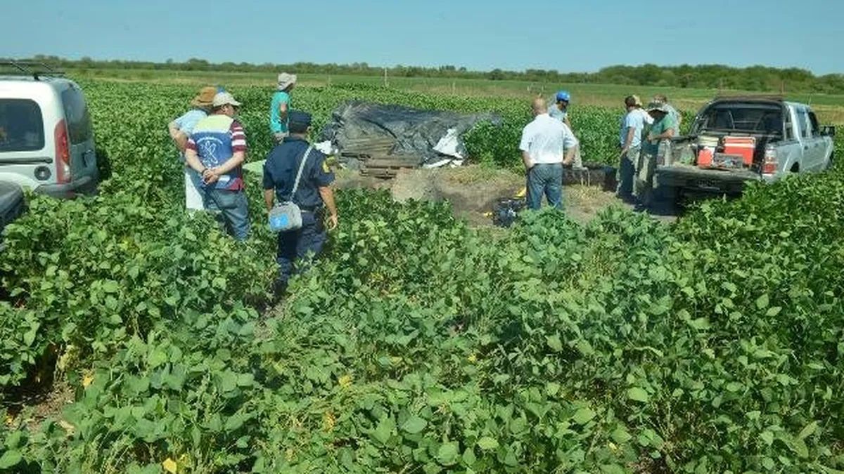 Los allanamientos que se realizaron en la estancia en Entre Ríos. Los allanamientos que se realizaron en la estancia en Entre Ríos.