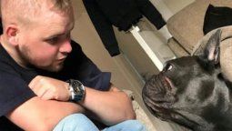 Un joven falleció de cáncer y minutos después su perro se dejó morir