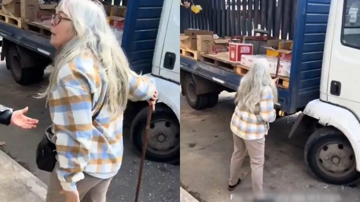 Una mujer fuera de si porque un repartidor había estacionado frente a su negocio, destrozó el camión con un fierro provocando graves daños Una mujer fuera de si porque un repartidor había estacionado frente a su negocio, destrozó el camión con un fierro provocando graves daños