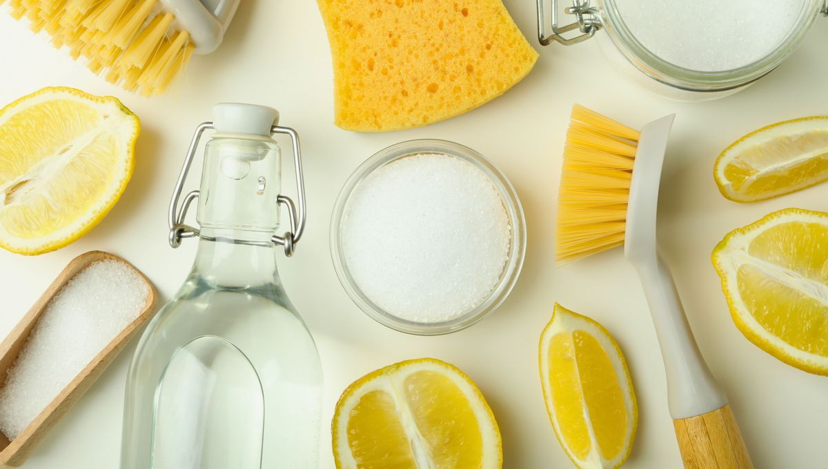 No uses vinagre en pantallas digitales, telas delicadas o piedras que se pueden dañar. No uses vinagre en pantallas digitales, telas delicadas o piedras que se pueden dañar. 