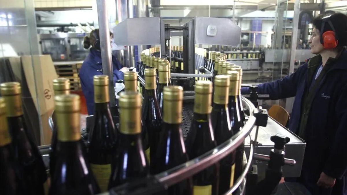 La exportación de vinos creciò 10%.
