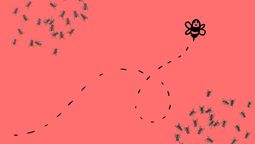 Filosofía árabe: qué significa Un puñado de abejas vale más que un saco de moscas