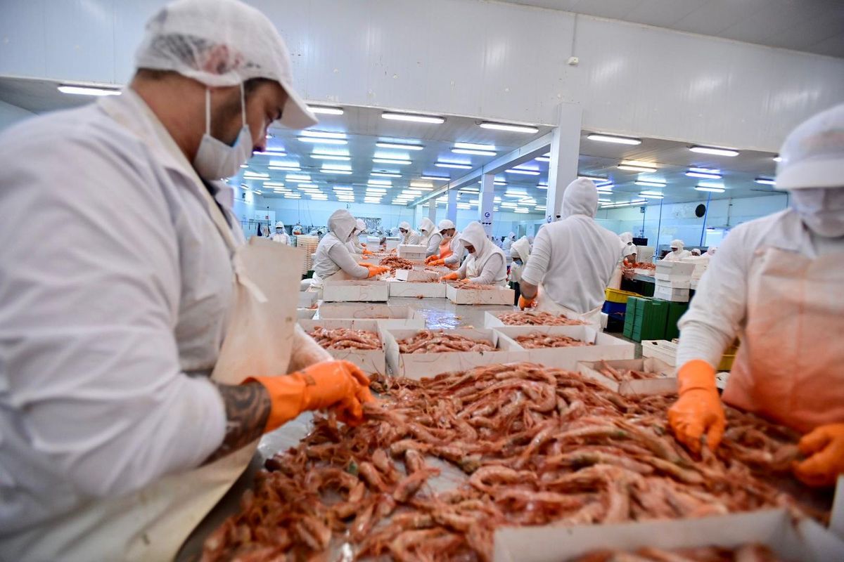 AISA Group compra la pesquera Cabo Vírgenes S.A.