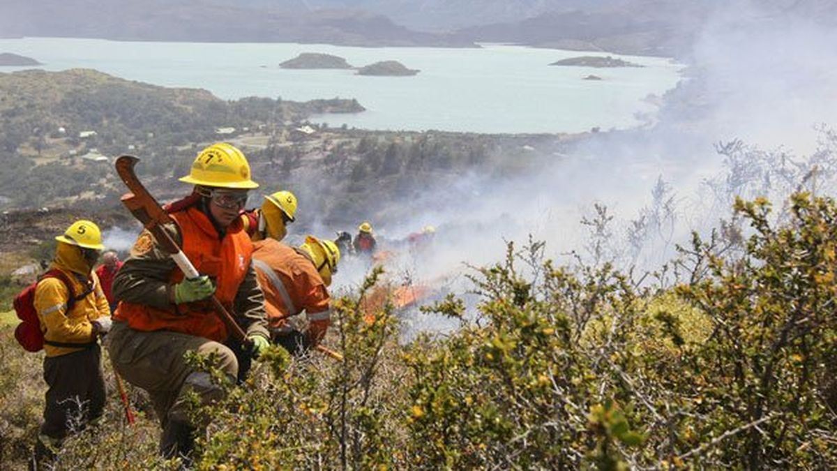 Dos incendios en el Sur de Chile se cobraron una vida y arrasaron 23.