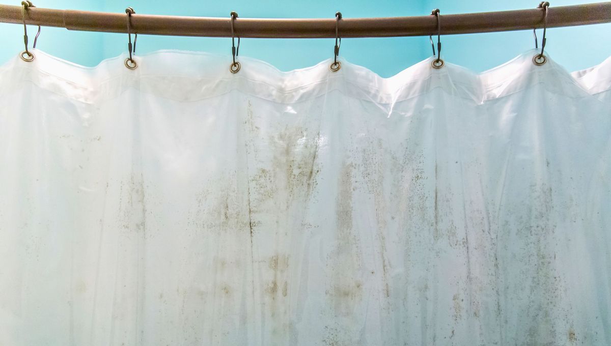 Siempre es bueno diluir el vinagre para limpiar la casa. Siempre es bueno diluir el vinagre para limpiar la casa. 