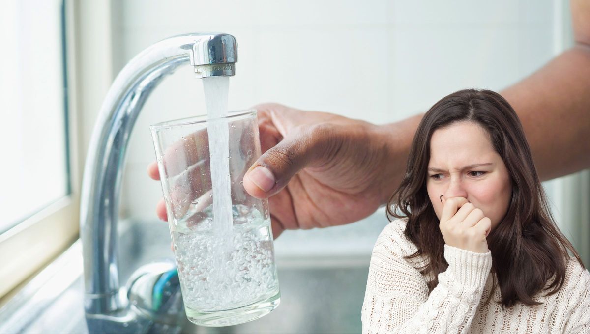 El mal olor en los vasos suele deberse a la acumulación de bacterias, restos de comida o algún tipo de comida que tiene un olor particular, como el huevo frito o porque quedan restos de detergente El mal olor en los vasos suele deberse a la acumulación de bacterias, restos de comida o algún tipo de comida que tiene un olor particular, como el huevo frito o porque quedan restos de detergente