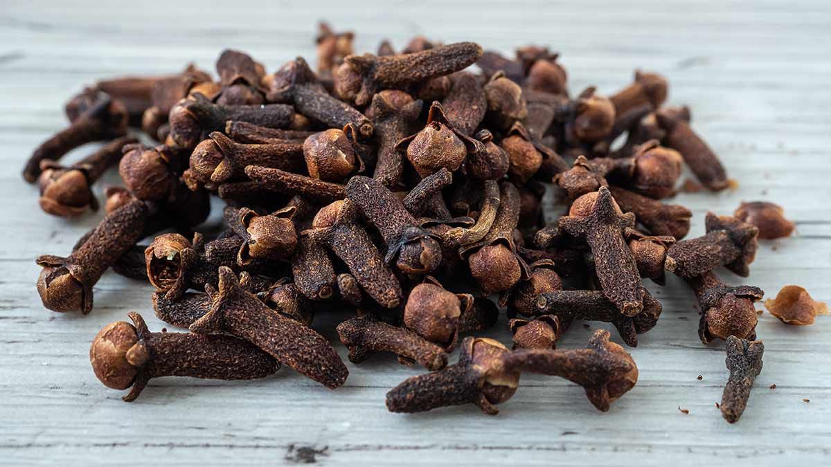 El clavo de olor es originario de Indonesia. El clavo de olor es originario de Indonesia.