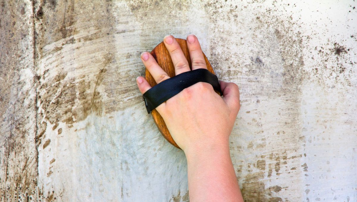 Rocía todas las paredes de la casa con vinagre por lo menos dos veces al año para remover la suciedad vieja. Rocía todas las paredes de la casa con vinagre por lo menos dos veces al año para remover la suciedad vieja.