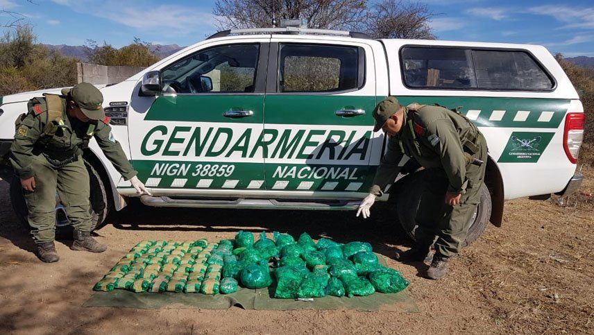 Gendarmería secuestró casi 20 kilos de hojas de coca en dos colectivos en Valle Fértil