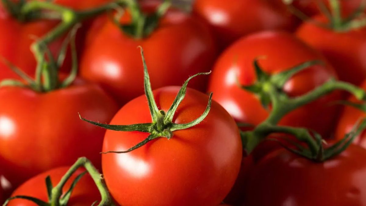 Truco casero: cómo mantener los tomates frescos y que no se pudran