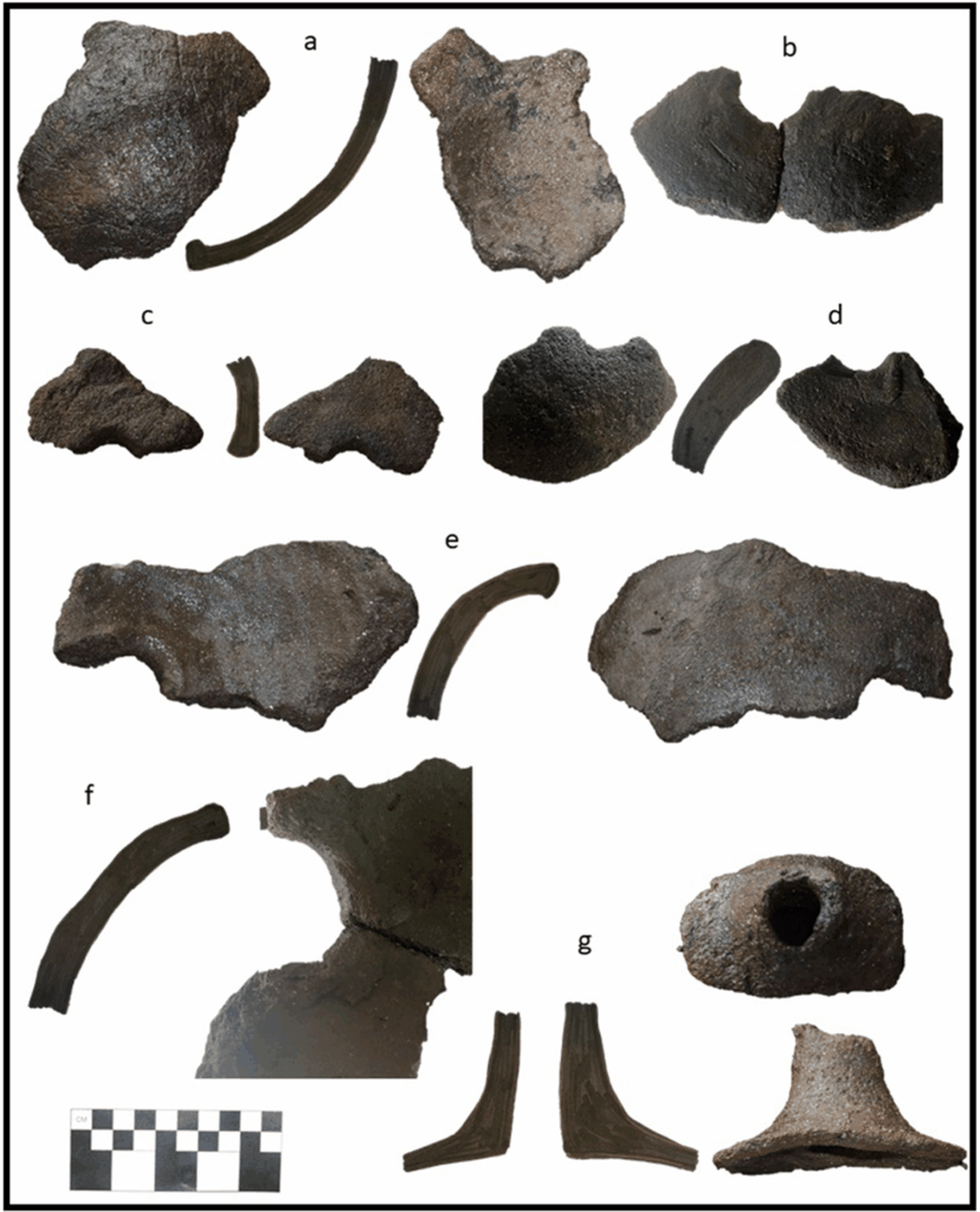 Algunos de los elementos localizados en el descubrimiento. Algunos de los elementos localizados en el descubrimiento.