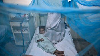 Una vacuna contra el dengue da 