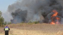 El saldo del incendio: tardará 5 años en volver la flora y sube el riesgo de crecidas