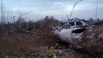 Un hombre murió aplastado por un árbol que cayó a causa del viento