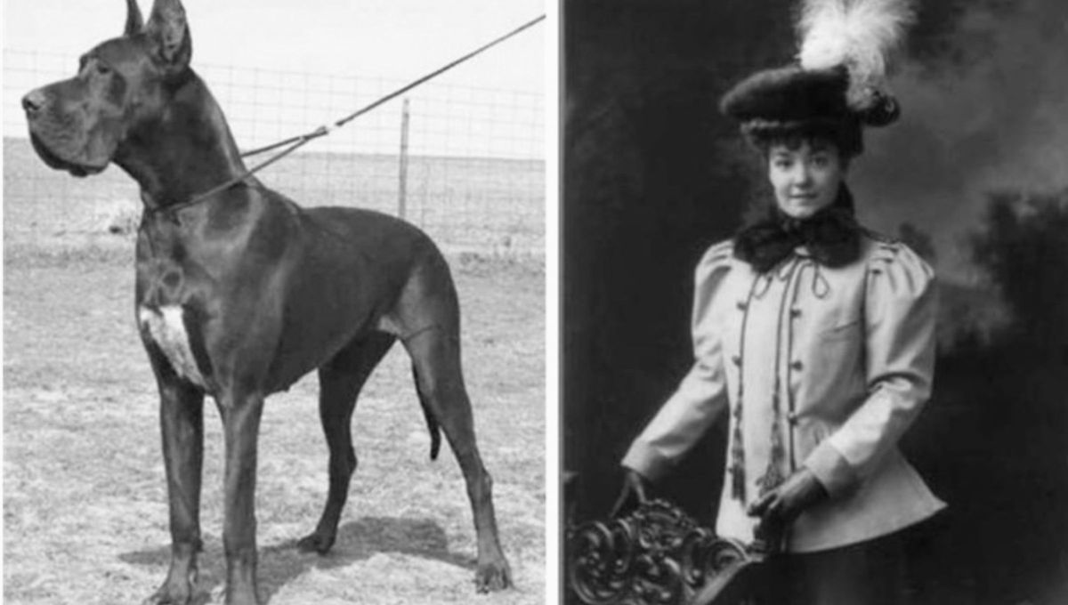Ann Elizabeth Isham junto a su perro gran danés. Ann Elizabeth Isham junto a su perro gran danés.