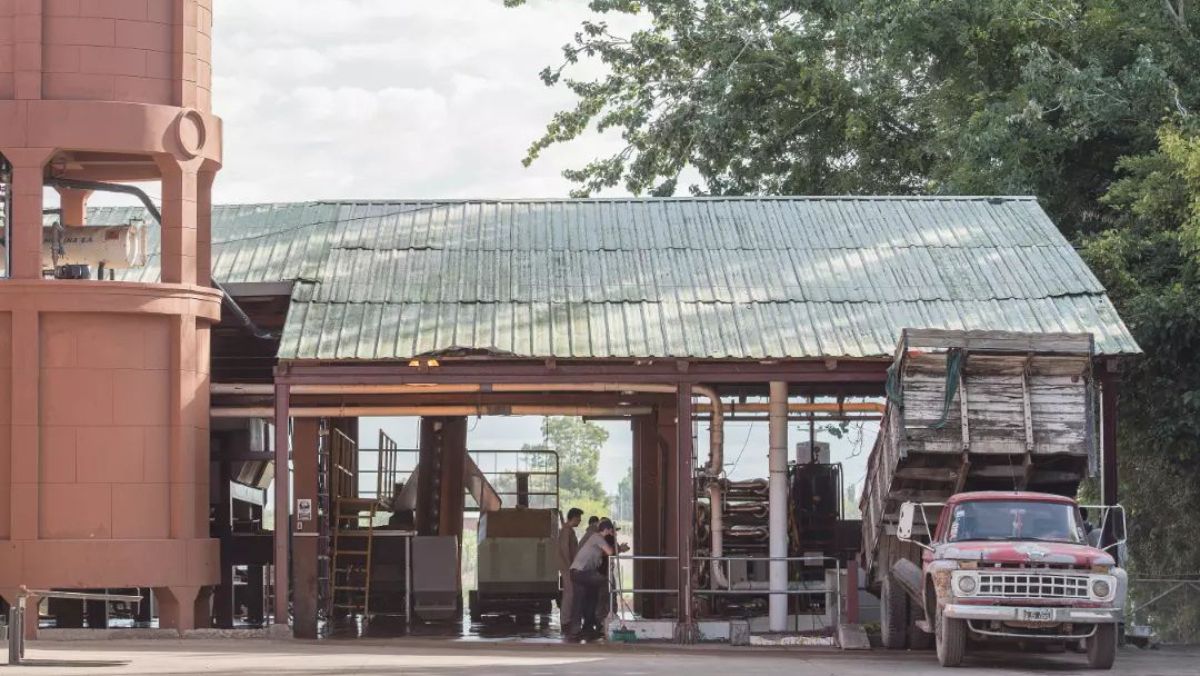 Las nuevas inversiones permitirán a la centenaria bodega aumentar su capacidad de producción en un 25%. Las nuevas inversiones permitirán a la centenaria bodega aumentar su capacidad de producción en un 25%.