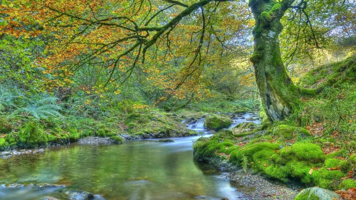 España cuenta con una gran diversidad de espacios naturales que son importantes por su biodiversidad. España cuenta con una gran diversidad de espacios naturales que son importantes por su biodiversidad.
