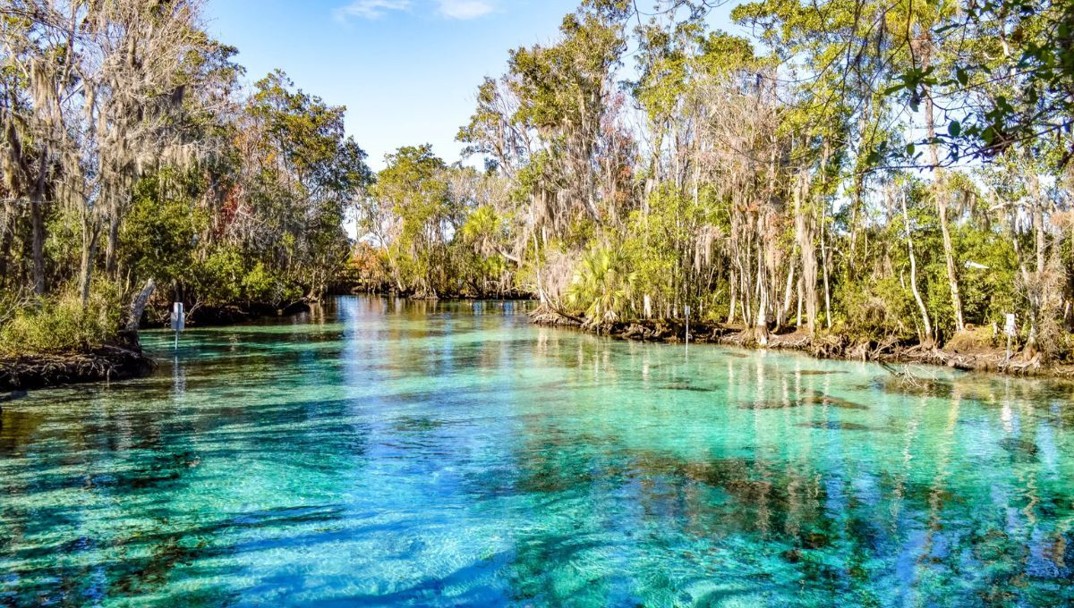 Así es el espectácular manatial a dos horas de los parques Disney.