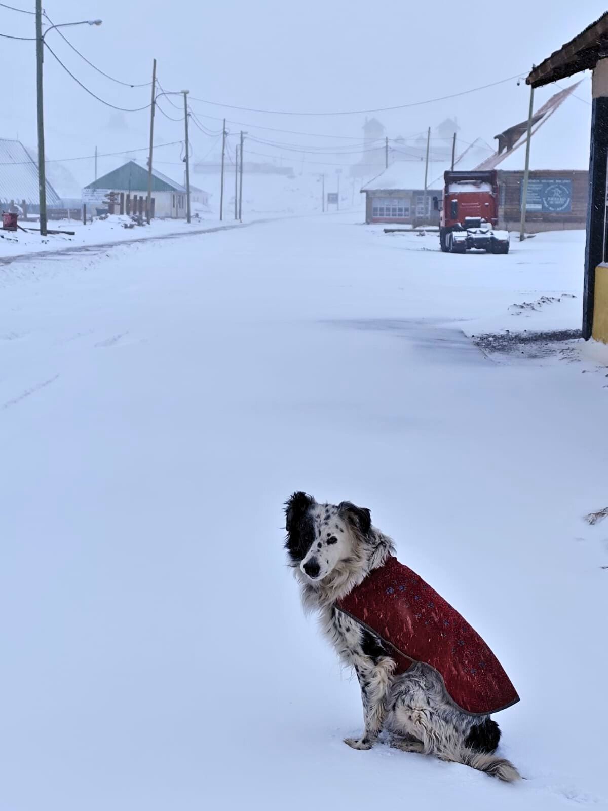 Se espera que la nevada sea fuerte en la alta montaña, mientras que el viento Zonda sople en la precordillera. Imagen ilustrativa. Se espera que la nevada sea fuerte en la alta montaña, mientras que el viento Zonda sople en la precordillera. Imagen ilustrativa.