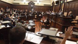 Los cinco proyectos más curiosos de los diputados mendocinos