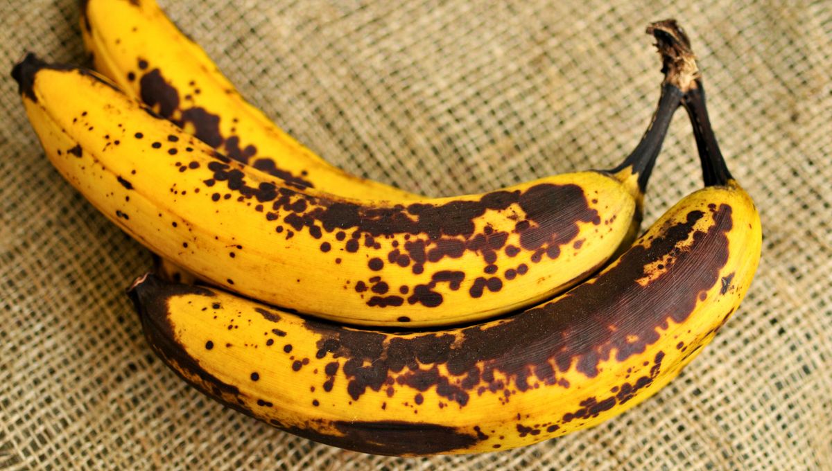 La banana es una fruta noble, rica y versátil. La banana es una fruta noble, rica y versátil. 