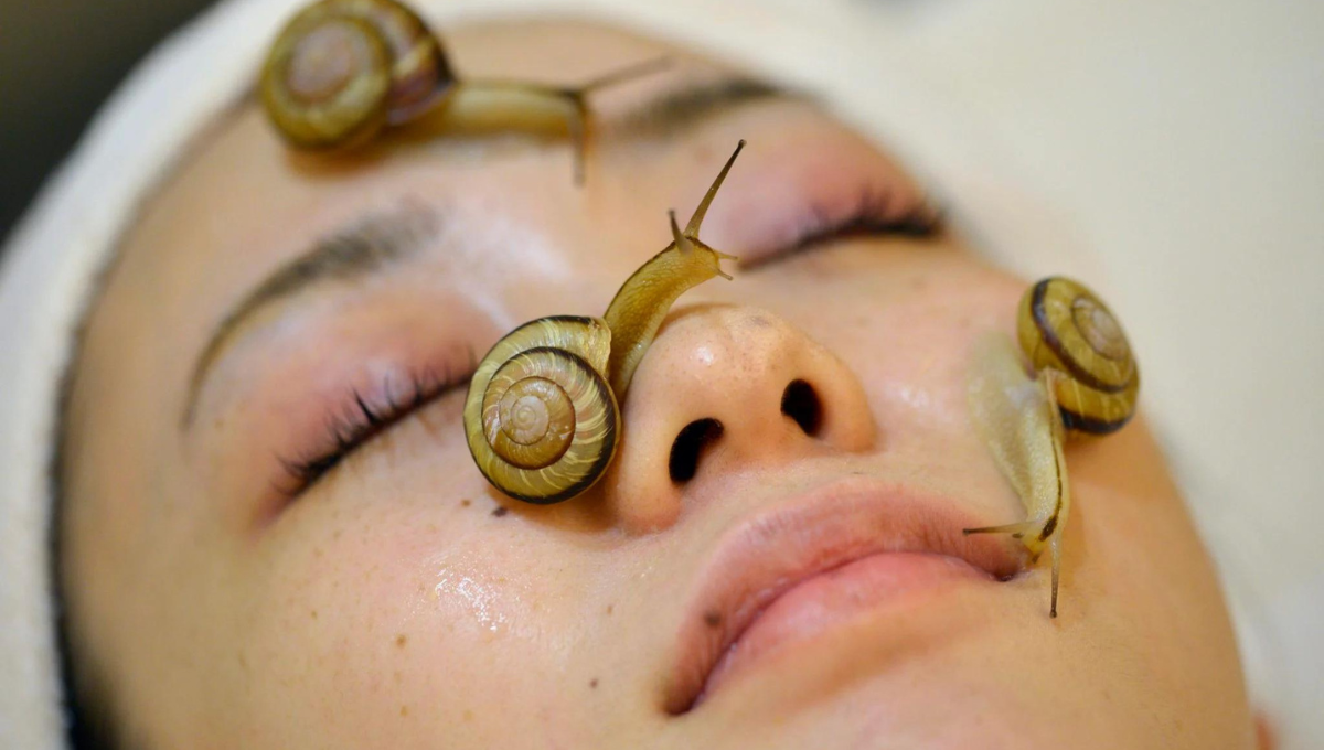 Conoce los beneficios que tiene la baba de caracol para la piel.