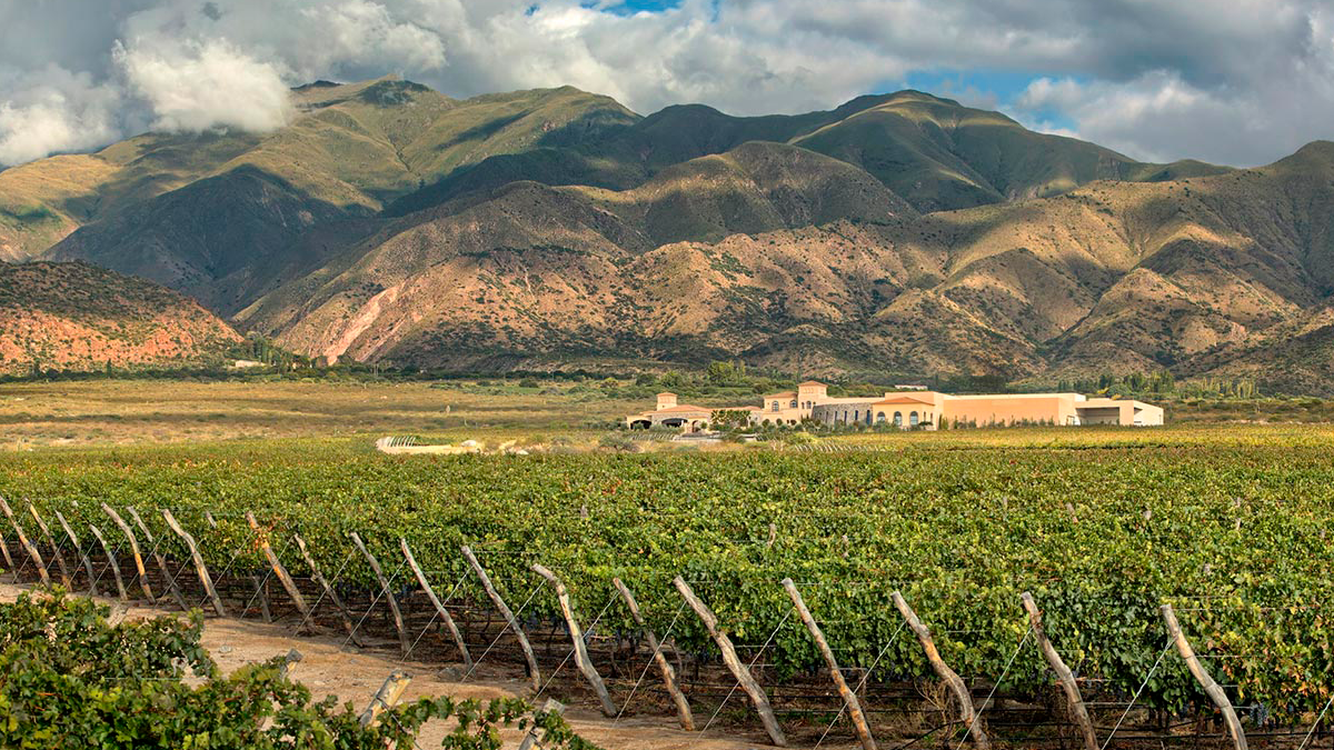 La Ruta del Vino en Cafayate ofrece paisajes y gastronomía similares a las de Mendoza. 