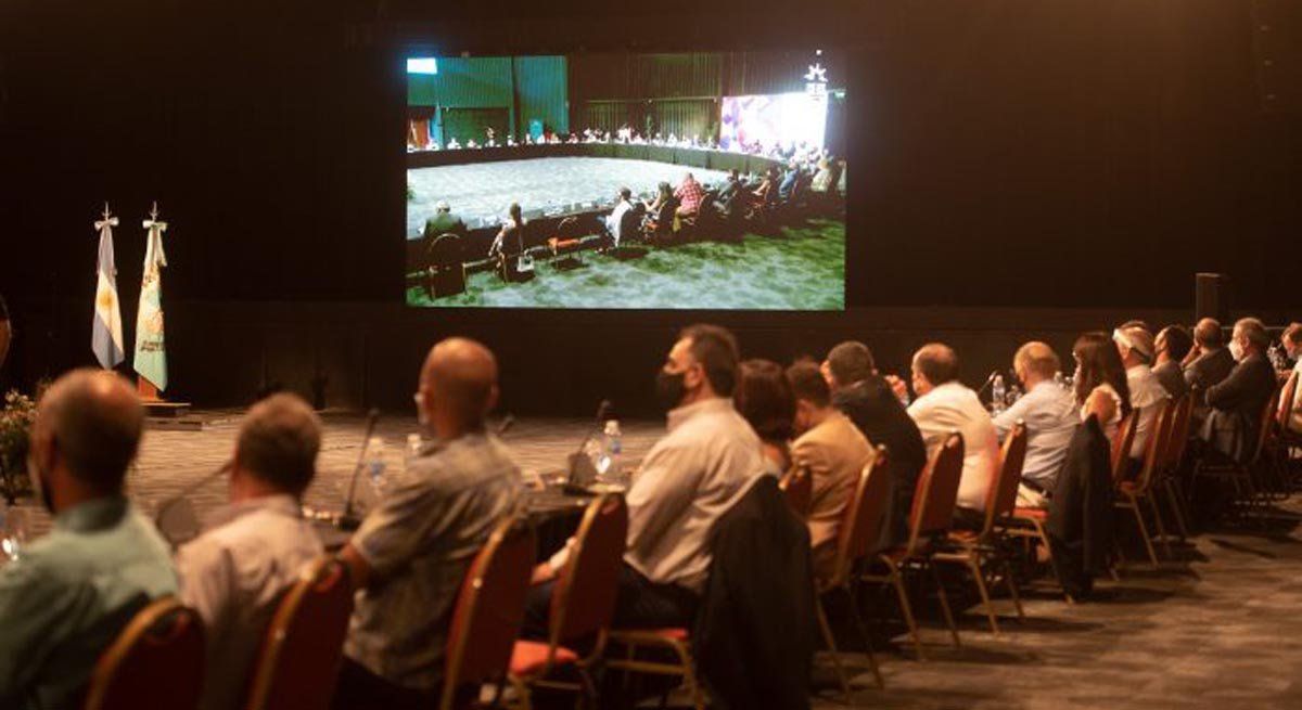 Consejo Económico, Social y Ambiental de Mendoza.