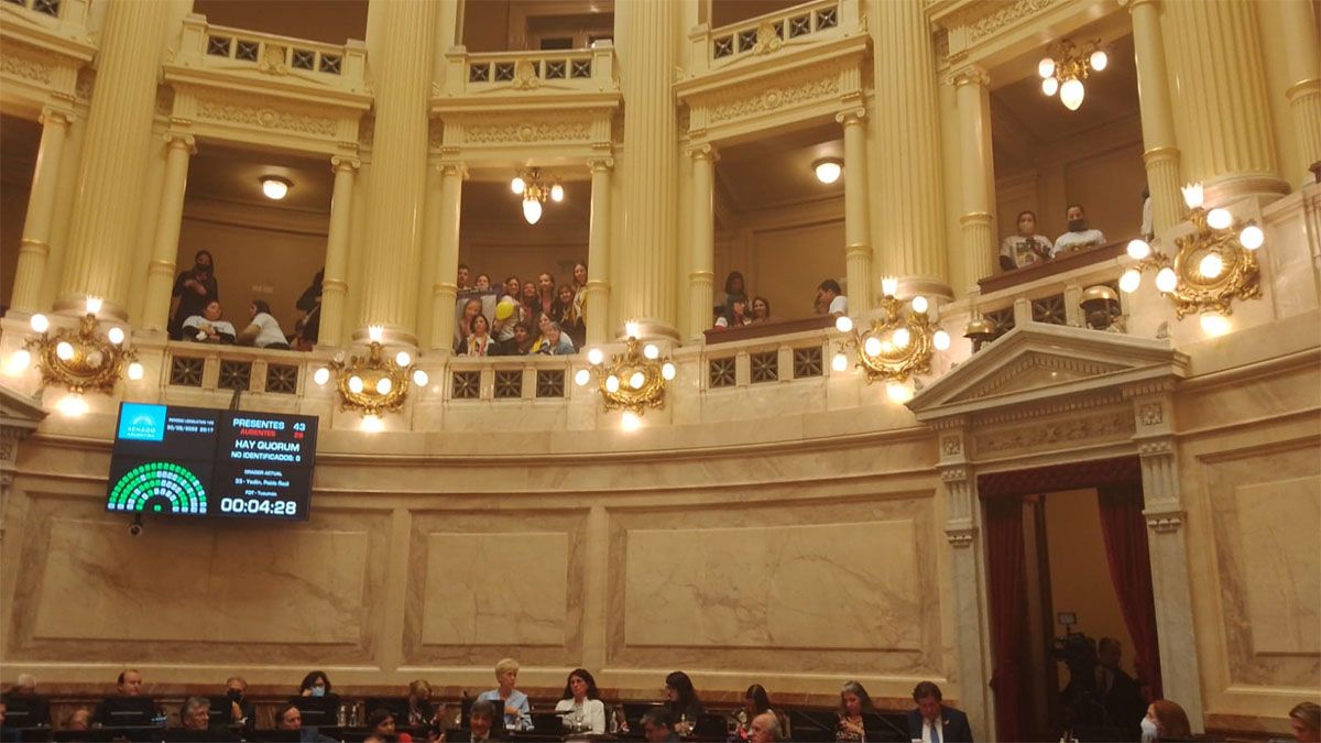 Familiares de niños con cáncer y pacientes recuperados celebraron en el Congreso la sanción de la ley Oncopediátrica.