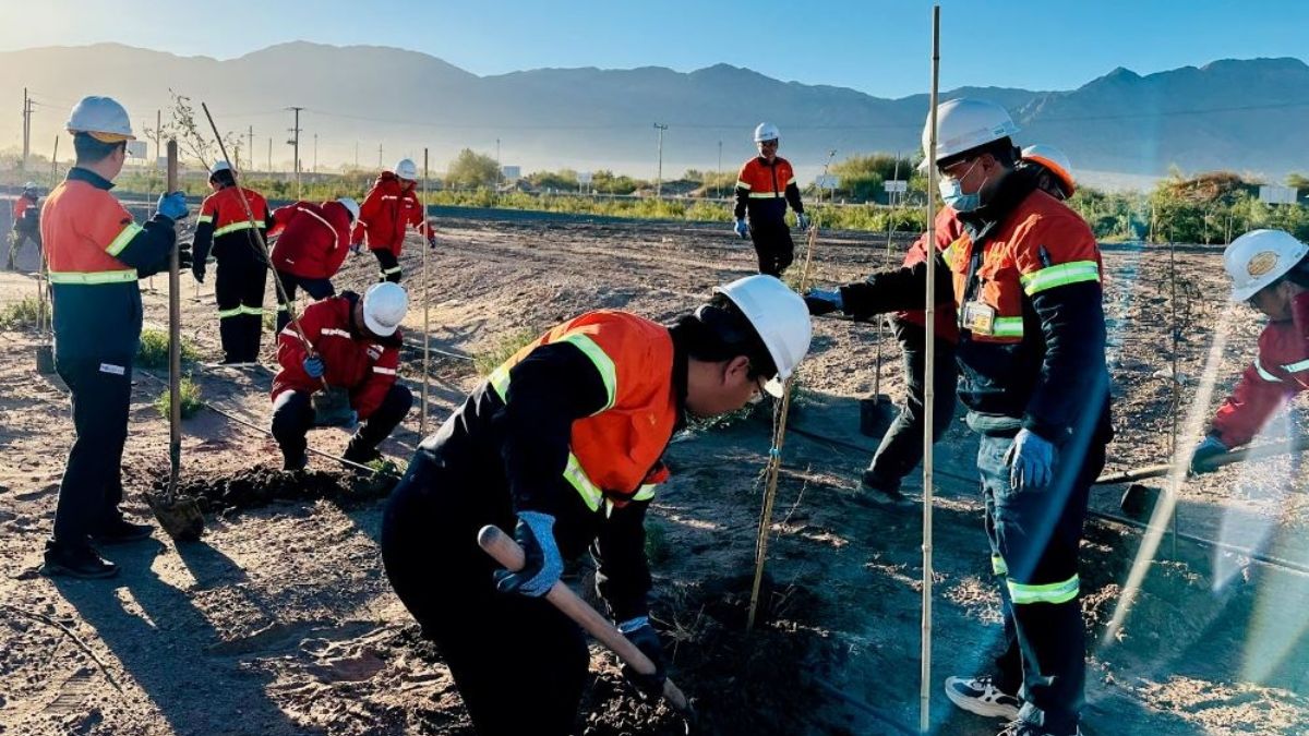 Trabajos en Catamarca. (Foto: Liex Zijin Catamarca)