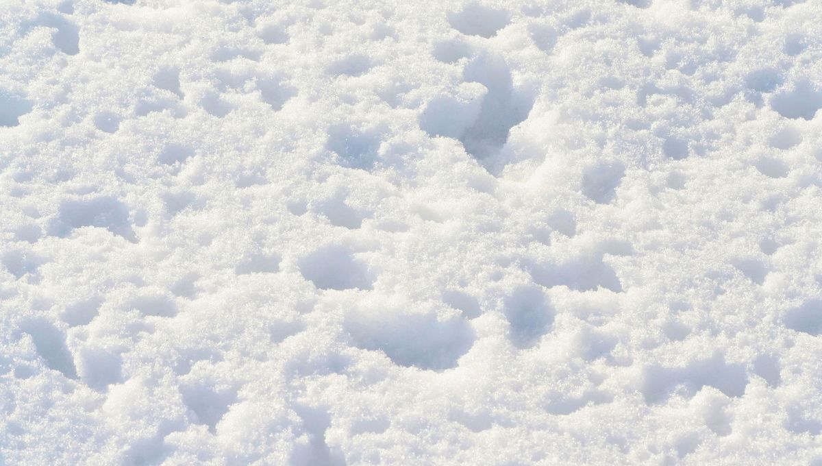 Evita salir durante un alerta Evita salir durante un alerta