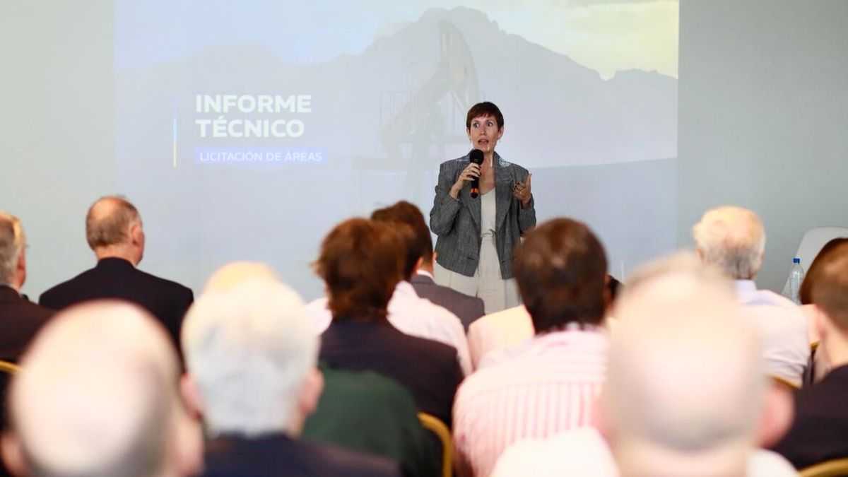Jimena Latorre presentó ante más de 20 empresas la licitación de 17 áreas hidrocarburíferas