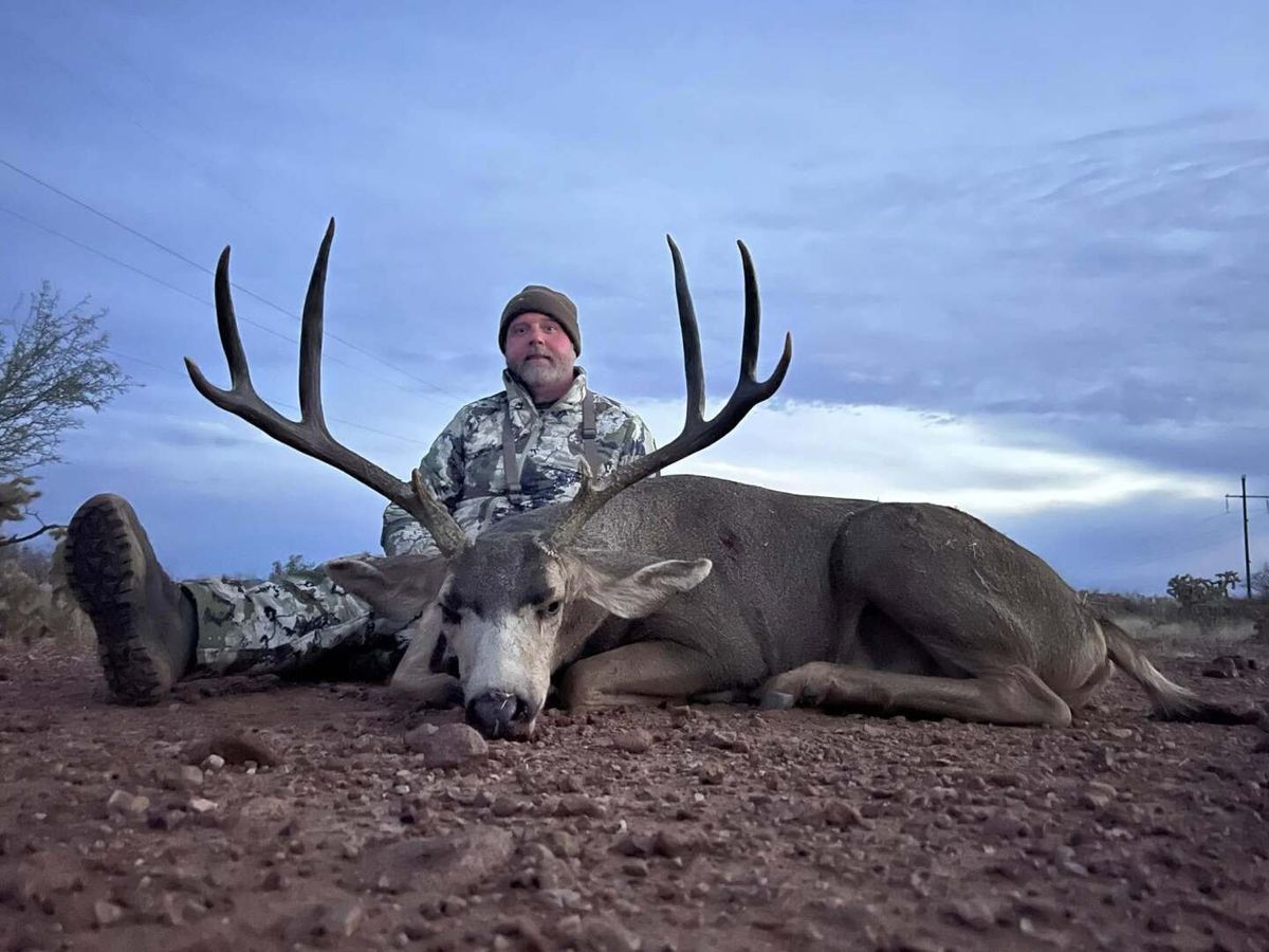 Safari mortífero. Un cazador millonario fue embestido por un búfalo gigante y lo mató. Safari mortífero. Un cazador millonario fue embestido por un búfalo gigante y lo mató. 
