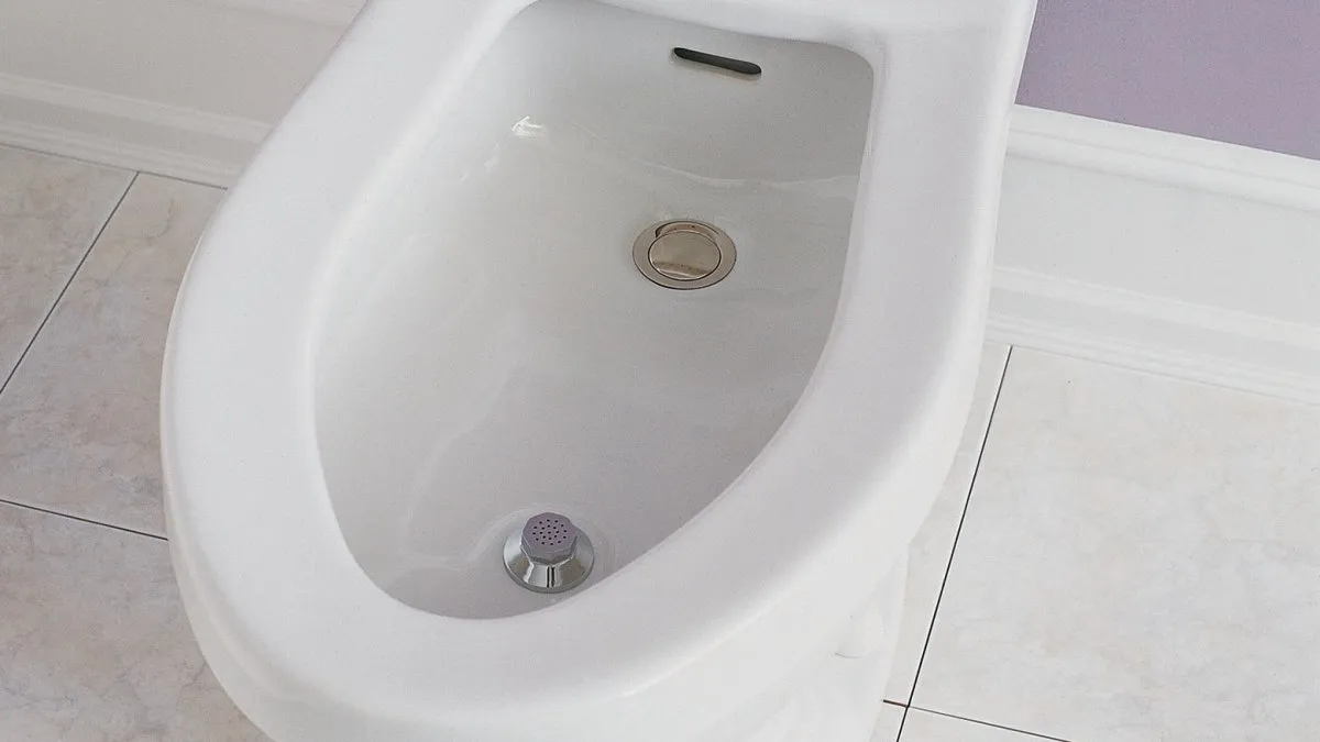 Bidé o bidet: la Real Academia Española explicó el dilema y despejó las dudas de cómo se escribe este aparato del baño.
