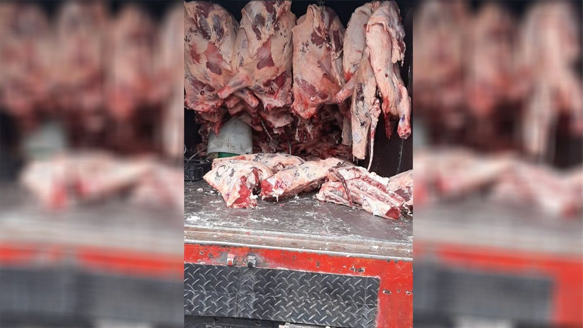 Personal de bromatología de Maipú decidió secuestrar 1.000 kilos de carne que no estaba apta para la venta. Personal de bromatología de Maipú decidió secuestrar 1.000 kilos de carne que no estaba apta para la venta.