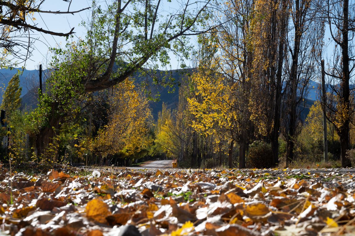 ¿Hay fin de semana largo en septiembre?: cuándo son los feriados y a quiénes les corresponde