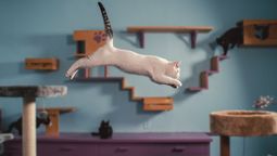 Streaming. Netflix: el fantástico documental para los amantes de los gatos.