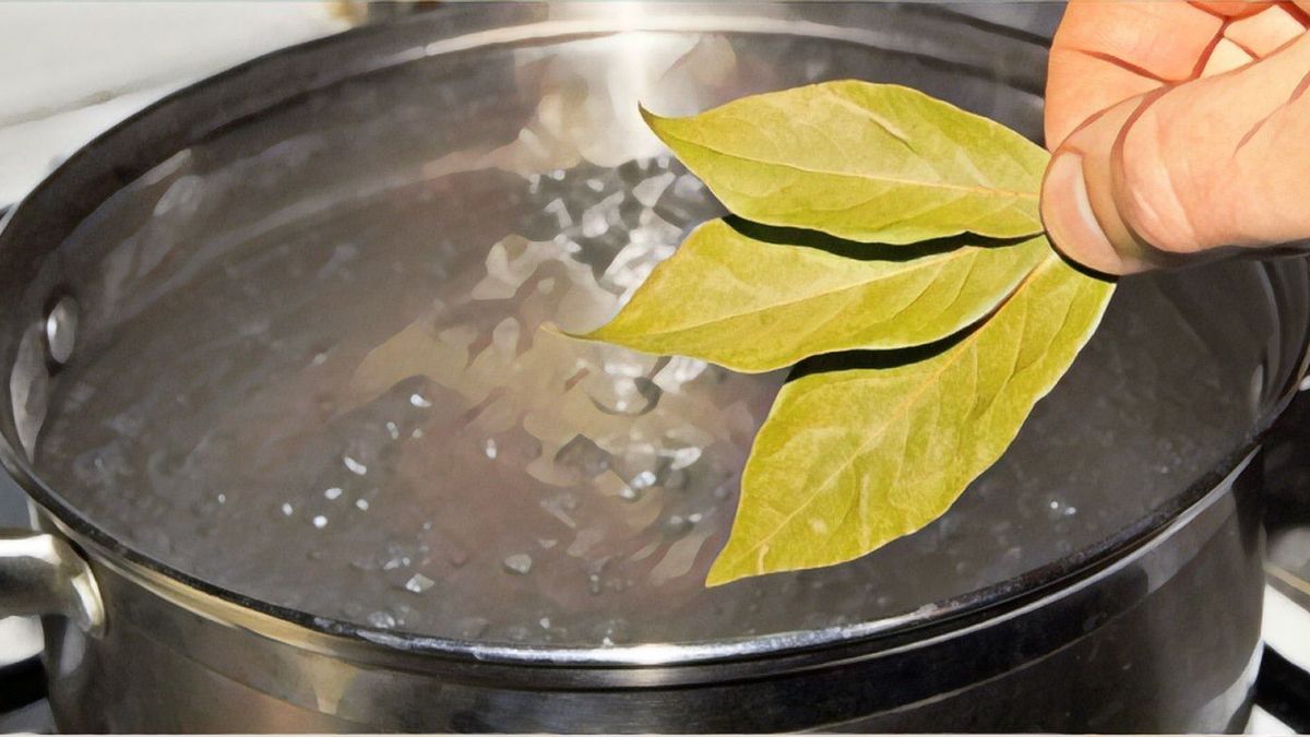 Laurel y agua, la combinación para realizar un ritual el 24 de diciembre.&nbsp;