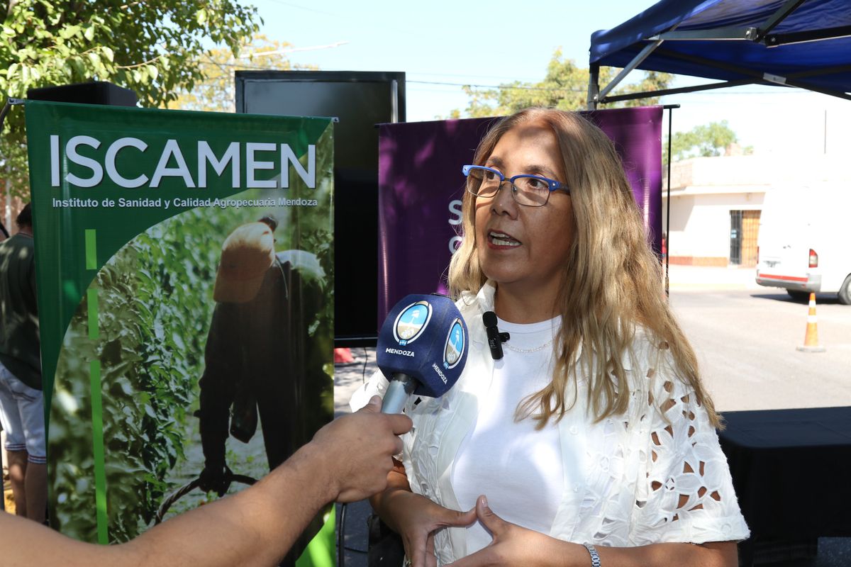 Especialistas de la Municipalidad de Guaymallén, del Iscamen y del Ministerio de Salud participaron del operativo contra el dengue. Especialistas de la Municipalidad de Guaymallén, del Iscamen y del Ministerio de Salud participaron del operativo contra el dengue.