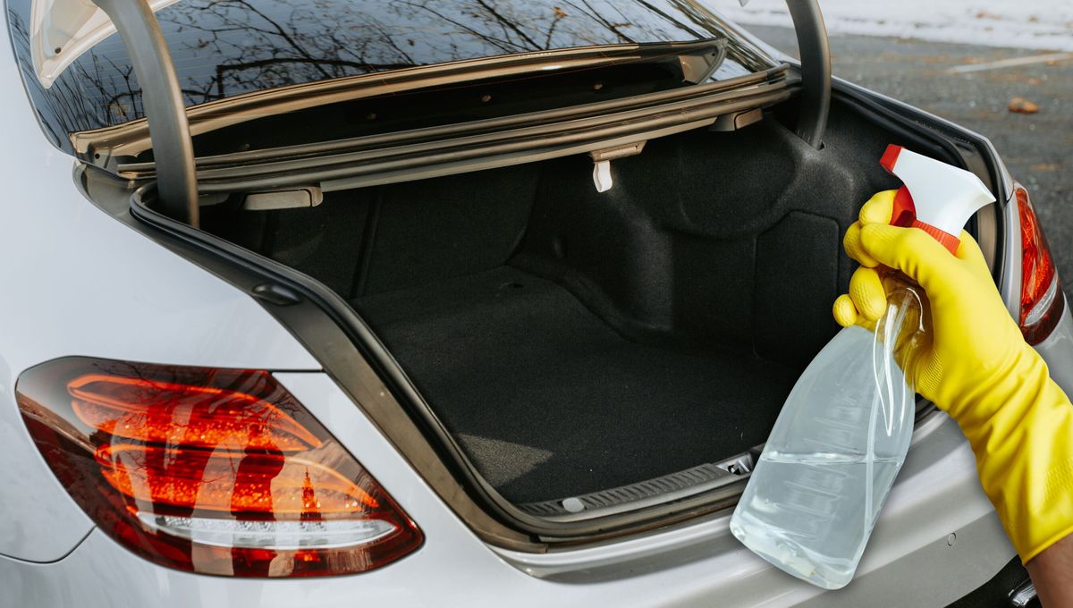 Te cuento por qué deberías rociar vinagre en el baúl del auto y cuáles son sus beneficios