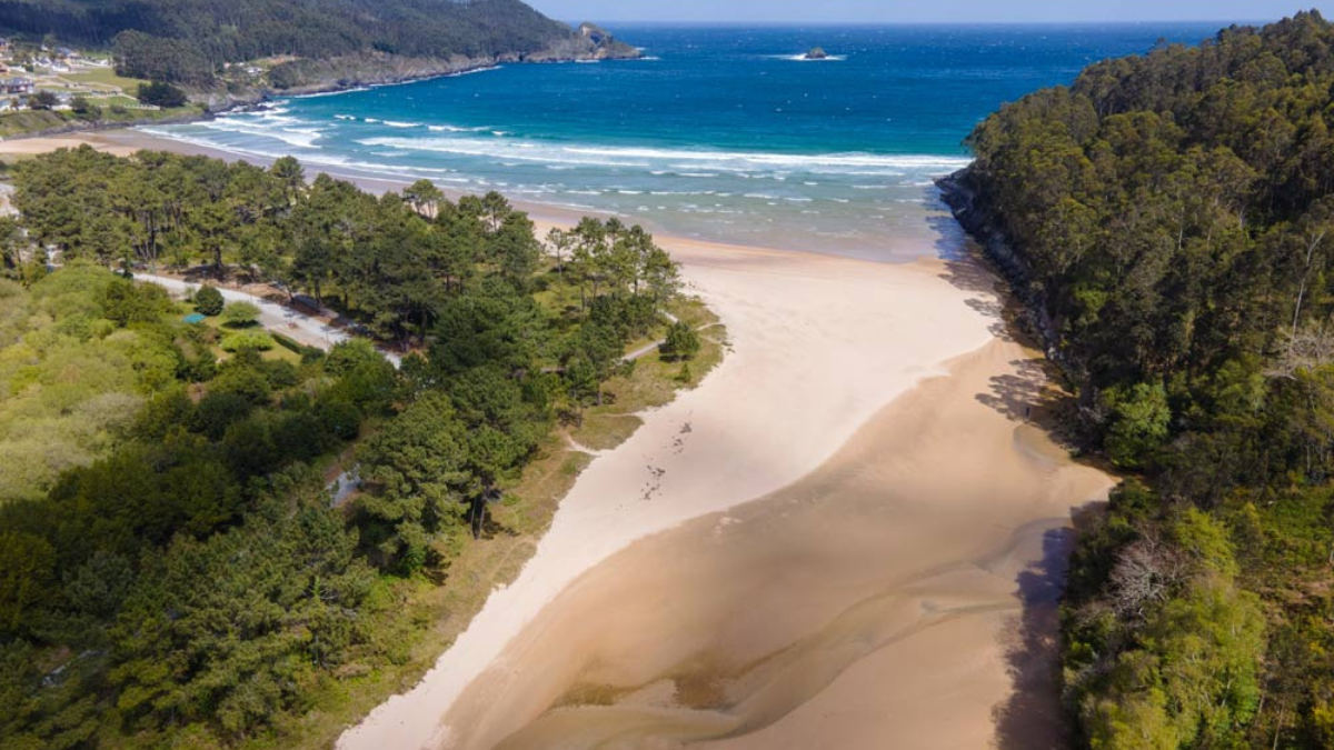 Playa Area Longa es una hermosa playa situada en la provincia de Pontevedra, en la región de Galicia, al noroeste de España. Playa Area Longa es una hermosa playa situada en la provincia de Pontevedra, en la región de Galicia, al noroeste de España.