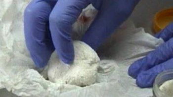 Detuvieron a un farmacéutico español que 