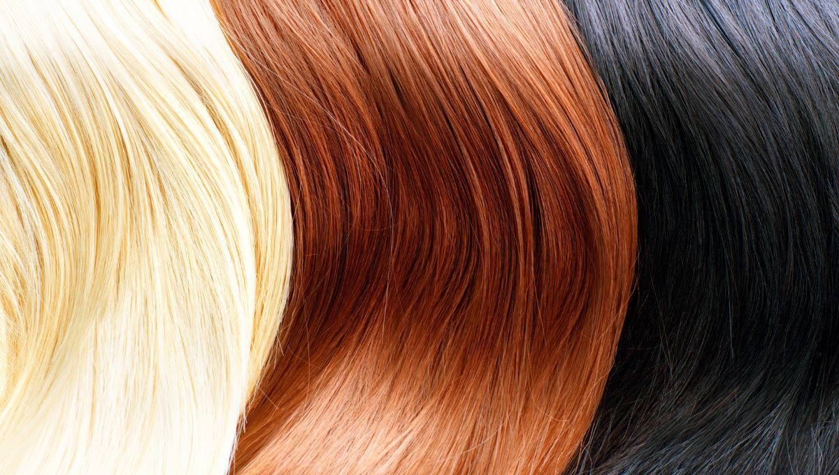 Color de cabello. Color de cabello.